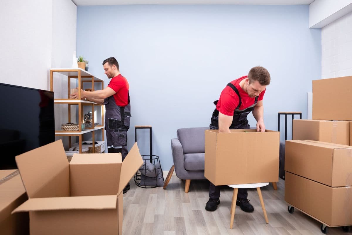 Packers and Movers